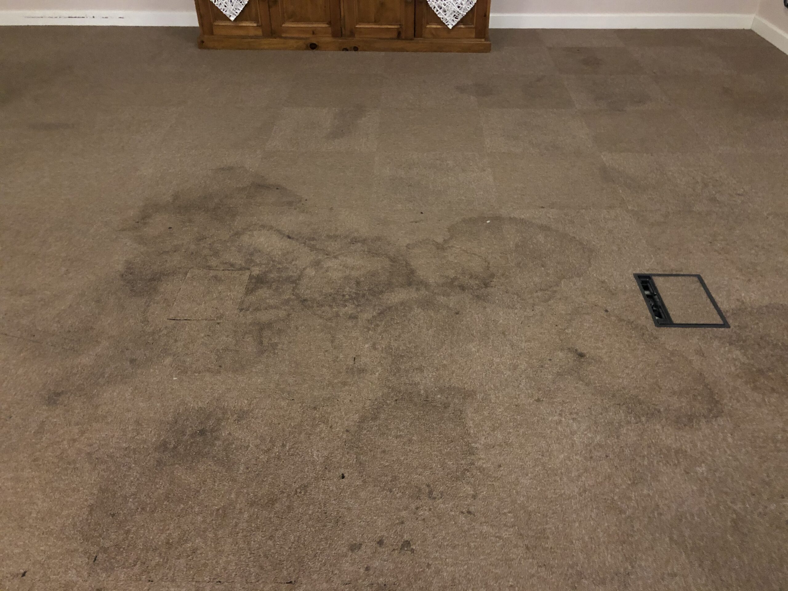 Deep carpet clean before cleaning
