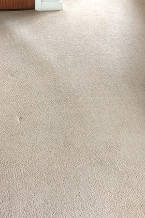 Beige carpet cleaning after cleaning