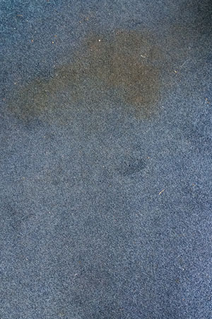 Blue carpet stain removal before cleaning
