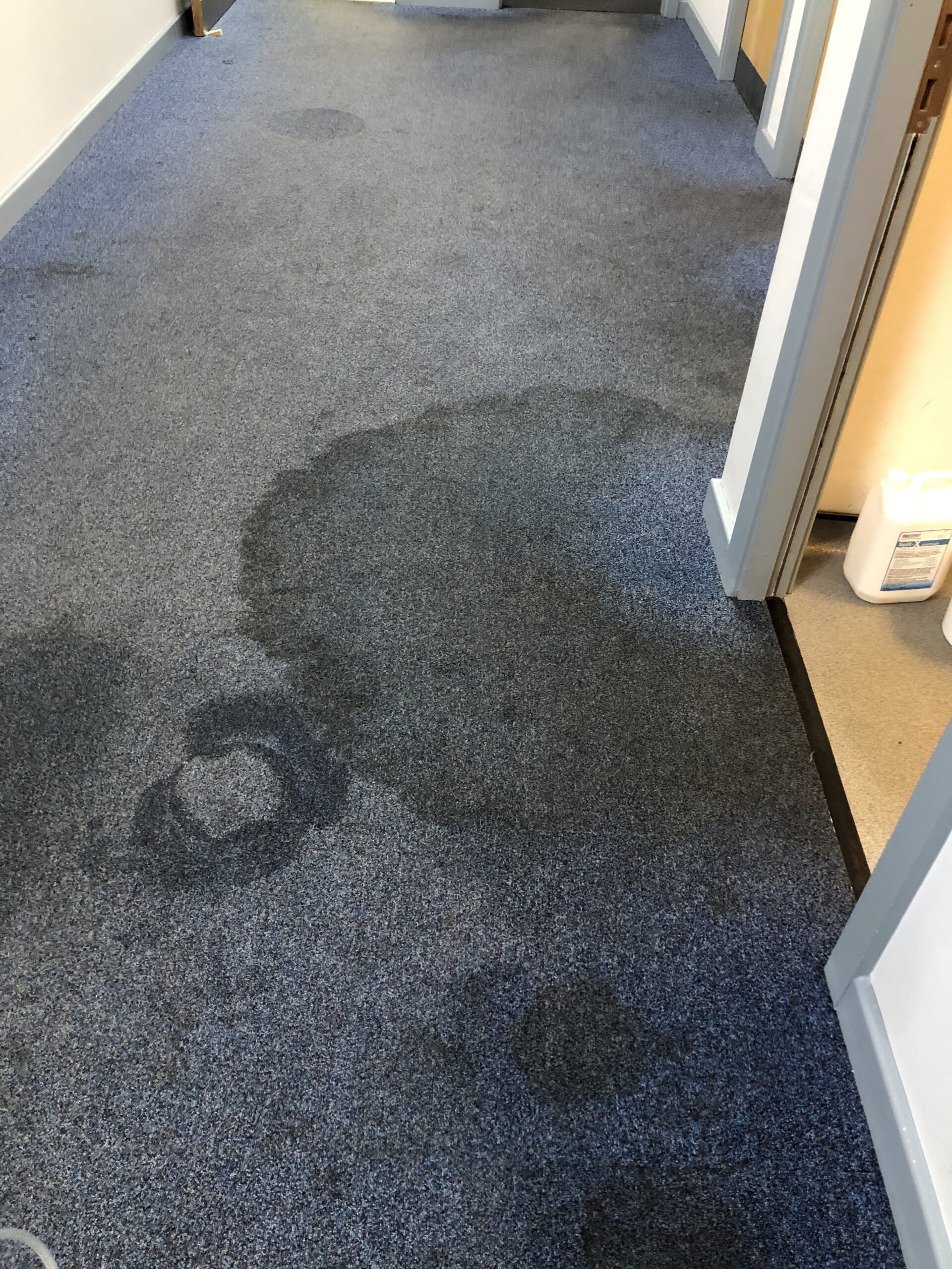 Carpet restoration before cleaning